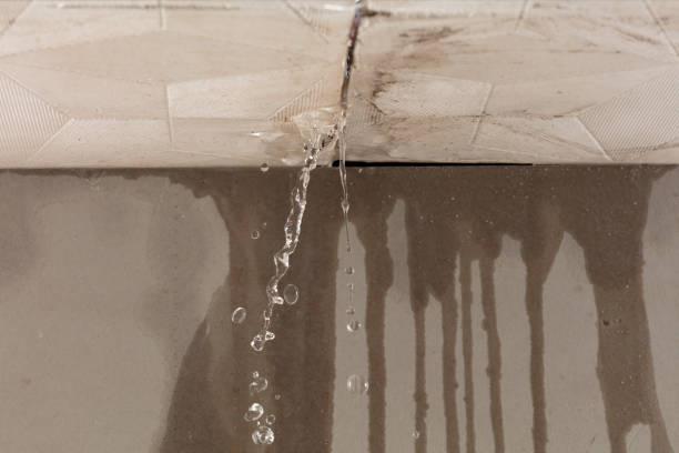 Professional Flood Damage Cleanup technician working in Courtland, AL